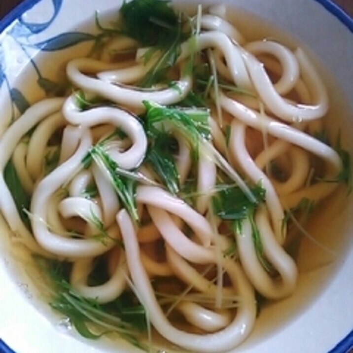 水菜うどん